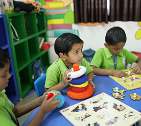 mlzs-Bhilwara -play