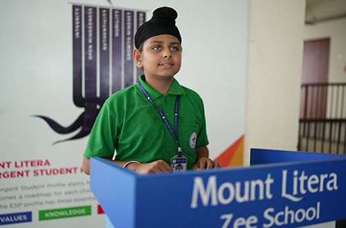 mlzs-Bhilwara 